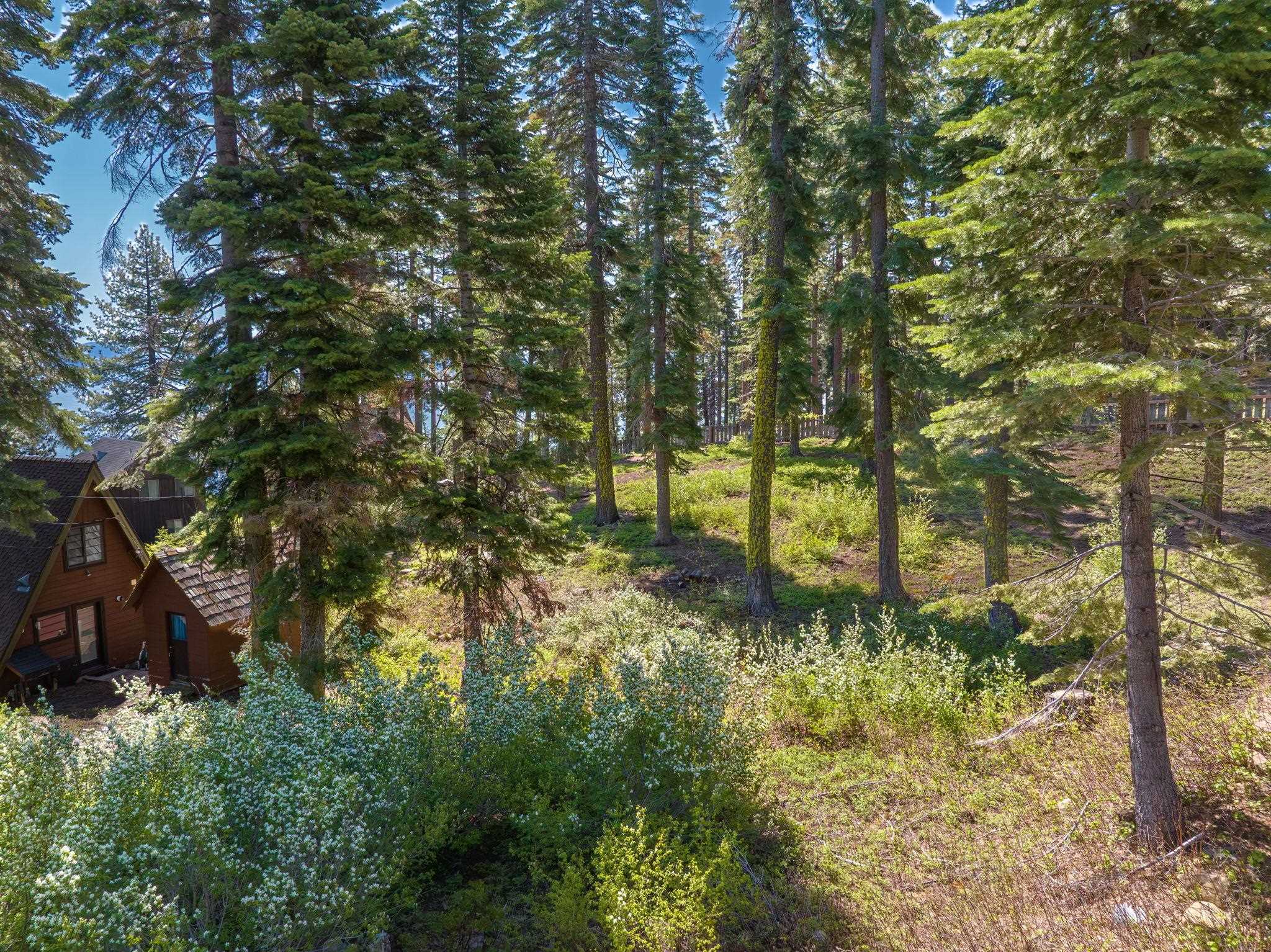 275 Elizabeth Drive