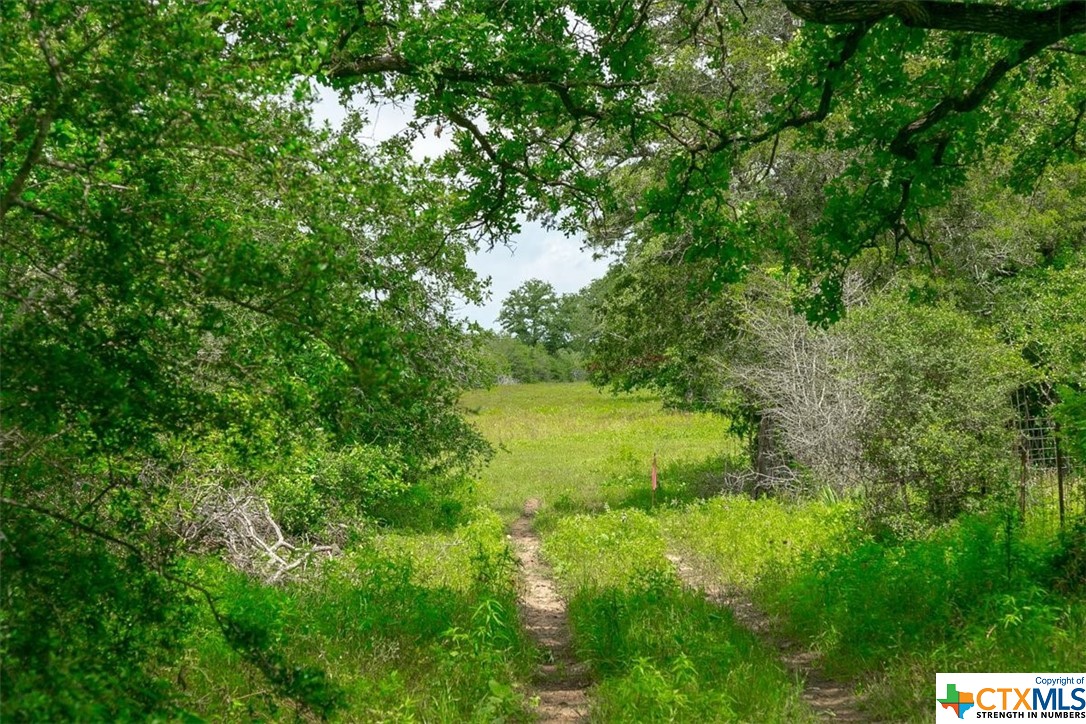 1890 Sandy Fork Road