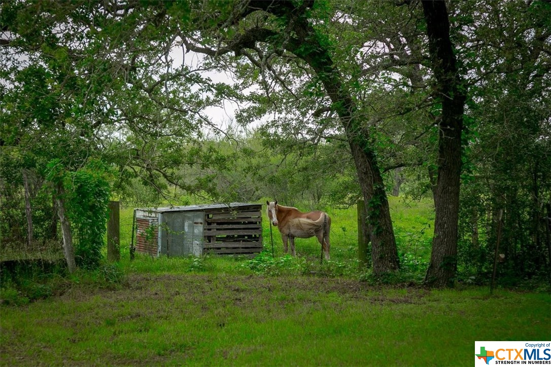1890 Sandy Fork Road