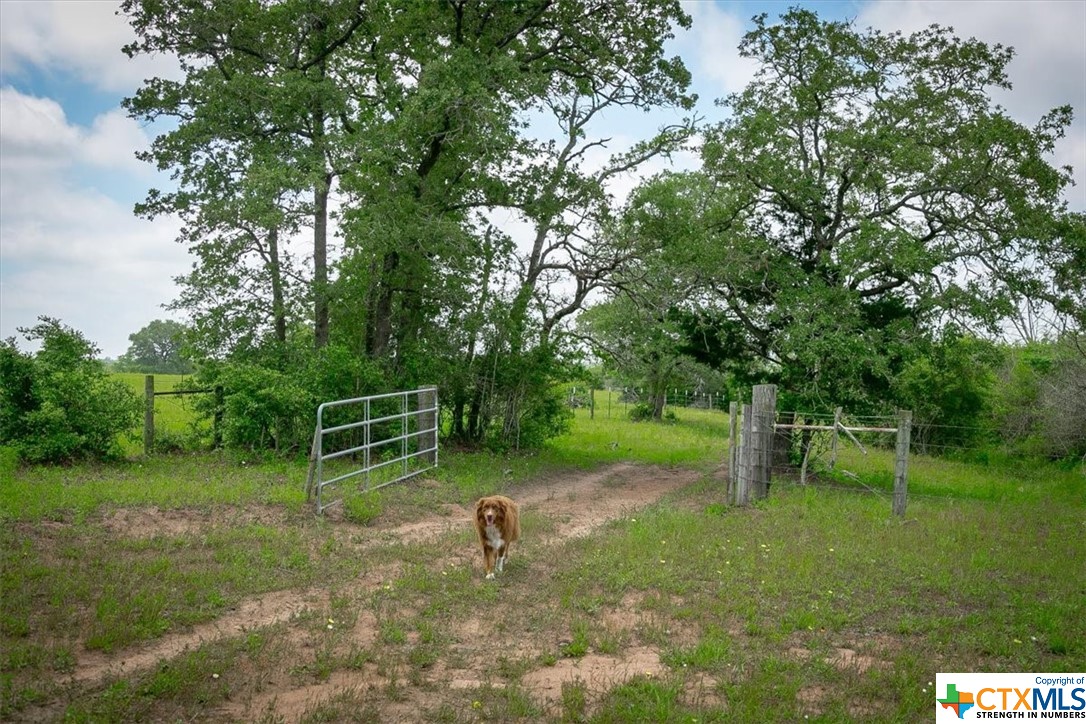 1890 Sandy Fork Road