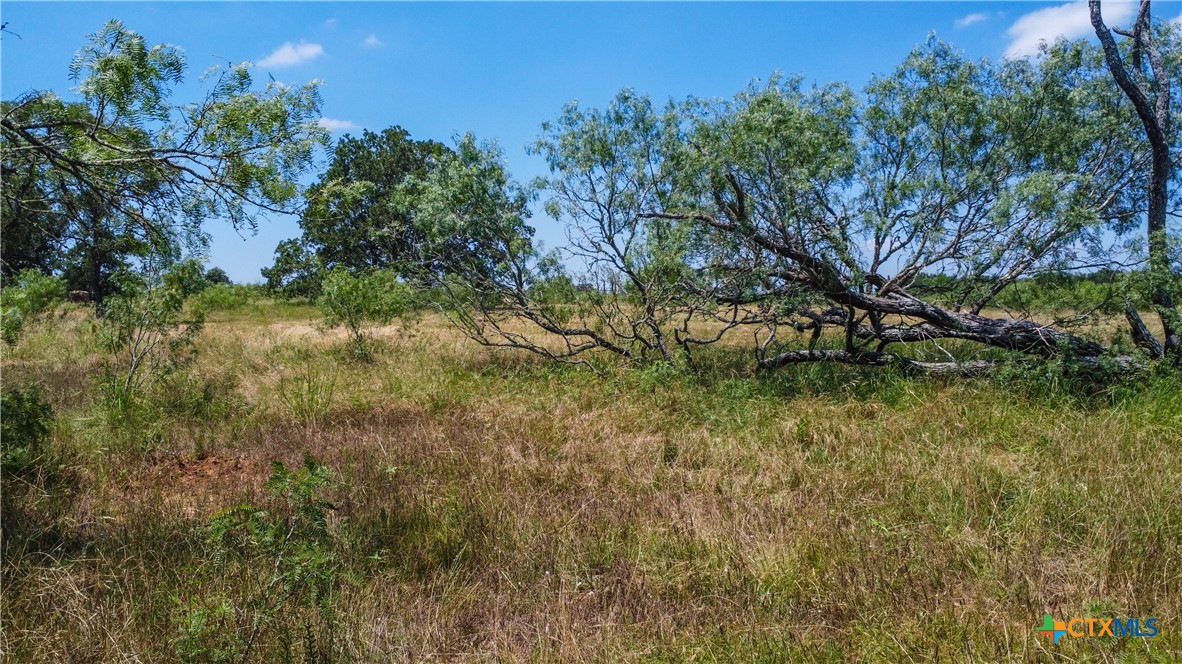 TBD Taylorsville Road