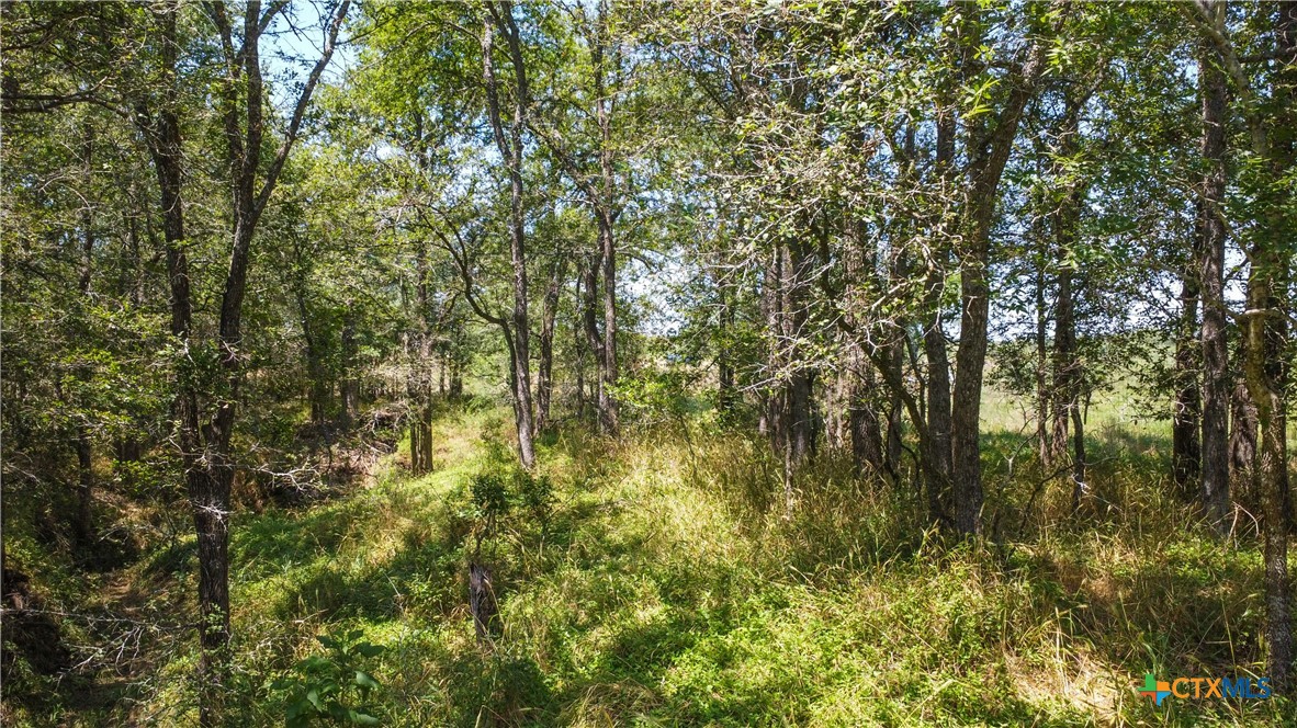 TBD Taylorsville Road