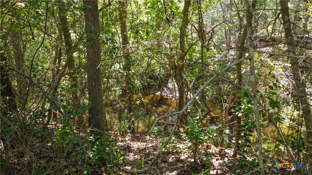 TBD Taylorsville Road