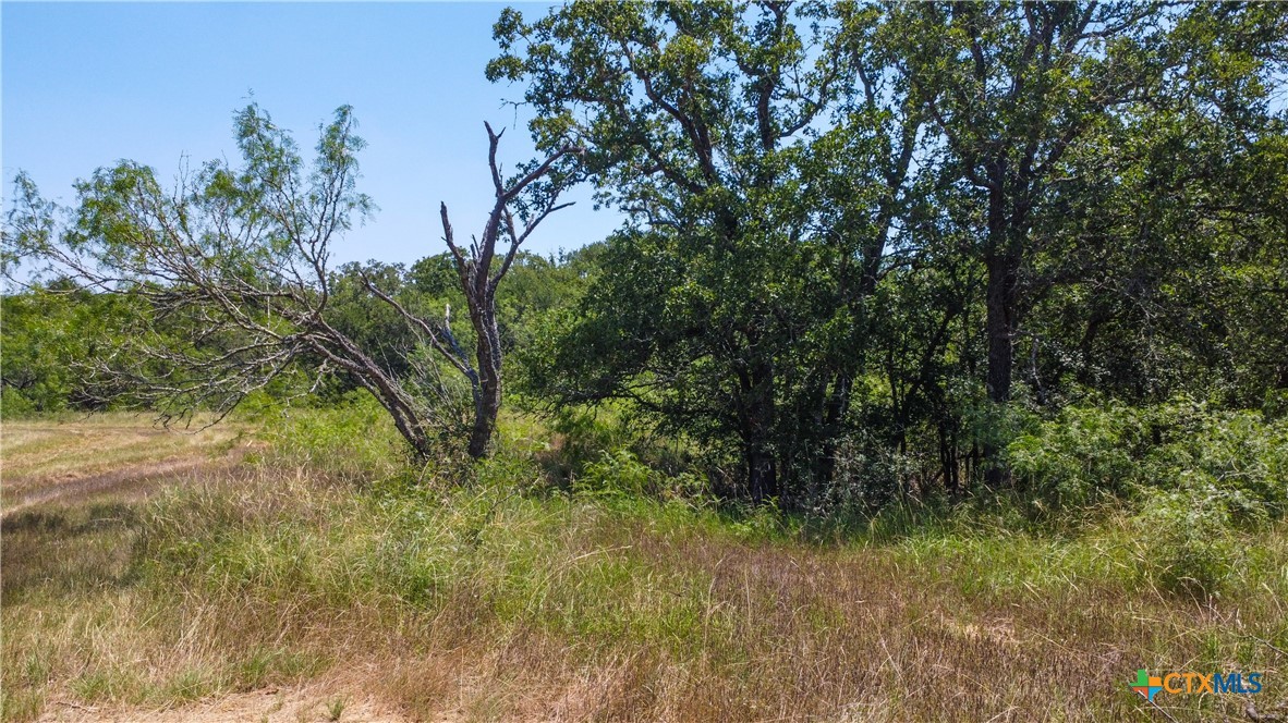 TBD Taylorsville Road