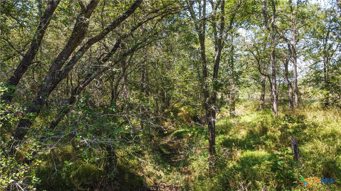 TBD Taylorsville Road