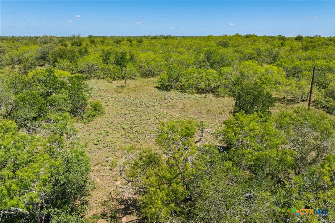 TBD County Road 408