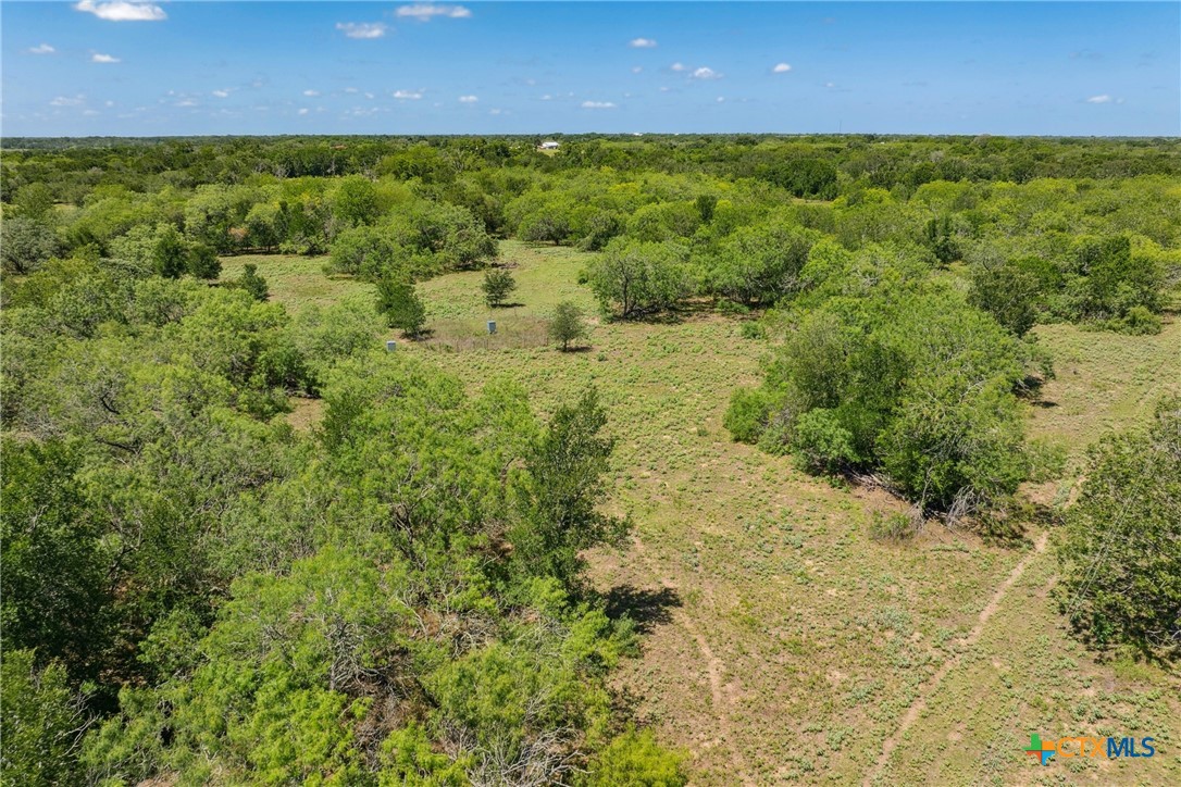 TBD County Road 408