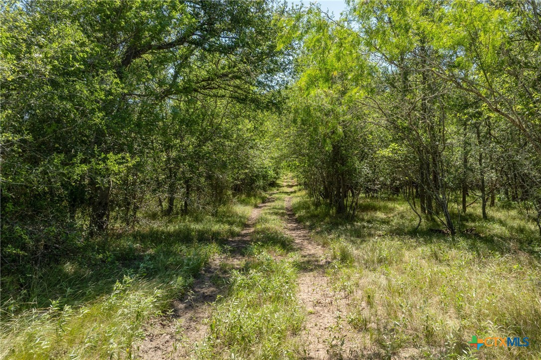TBD County Road 408