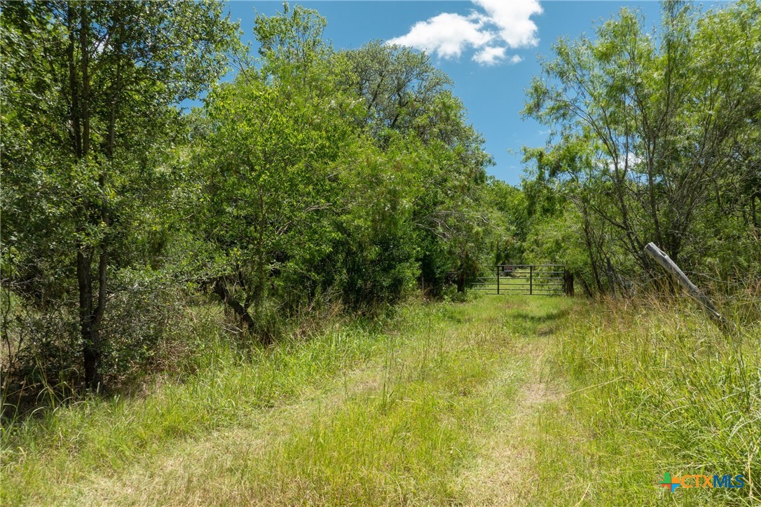 TBD County Road 408
