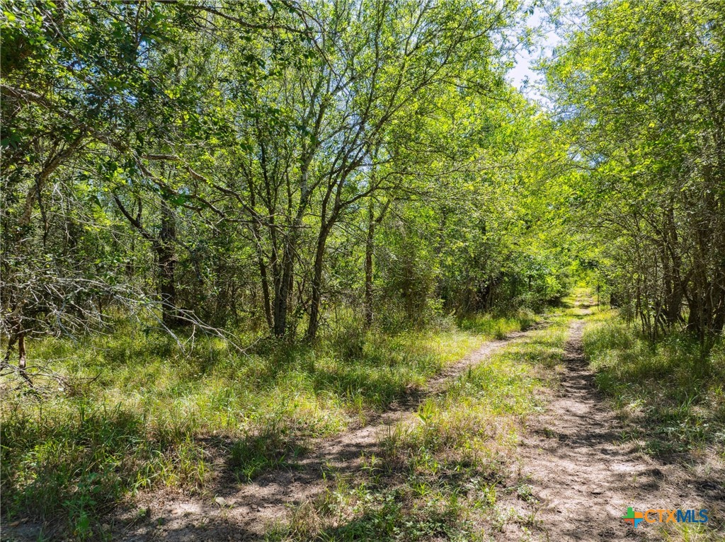 TBD County Road 408