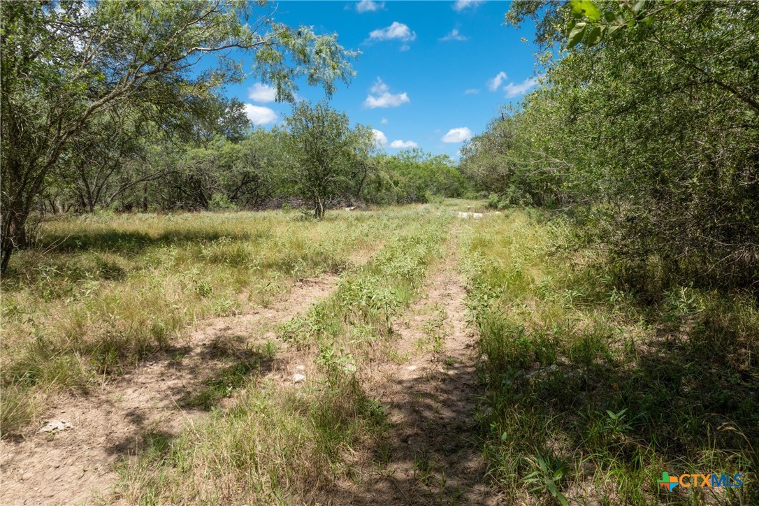 TBD County Road 408