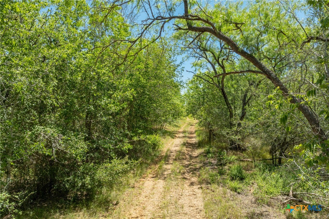 TBD County Road 408
