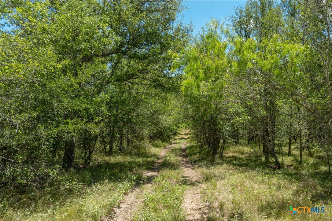 TBD County Road 408