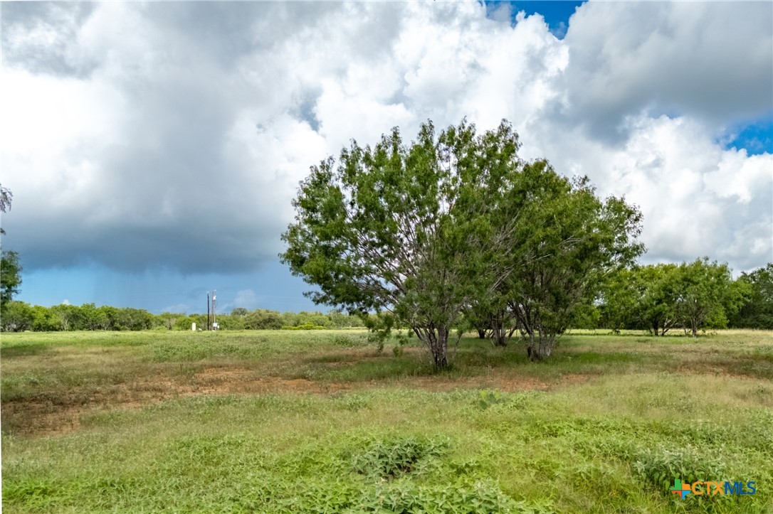 5485 County Road 249 Way