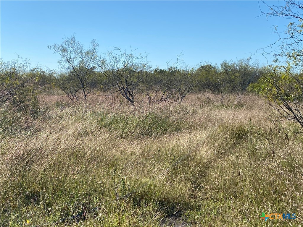 000 County Rd 407