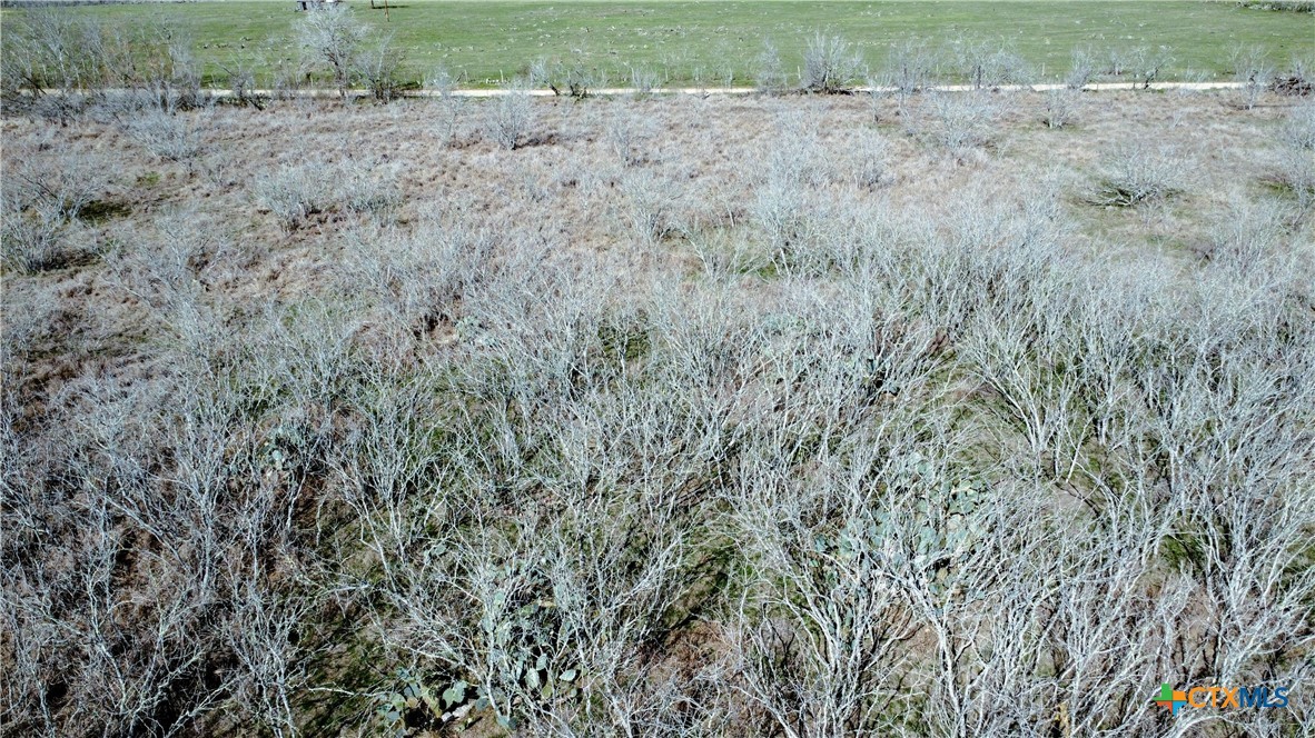 000 County Rd 407