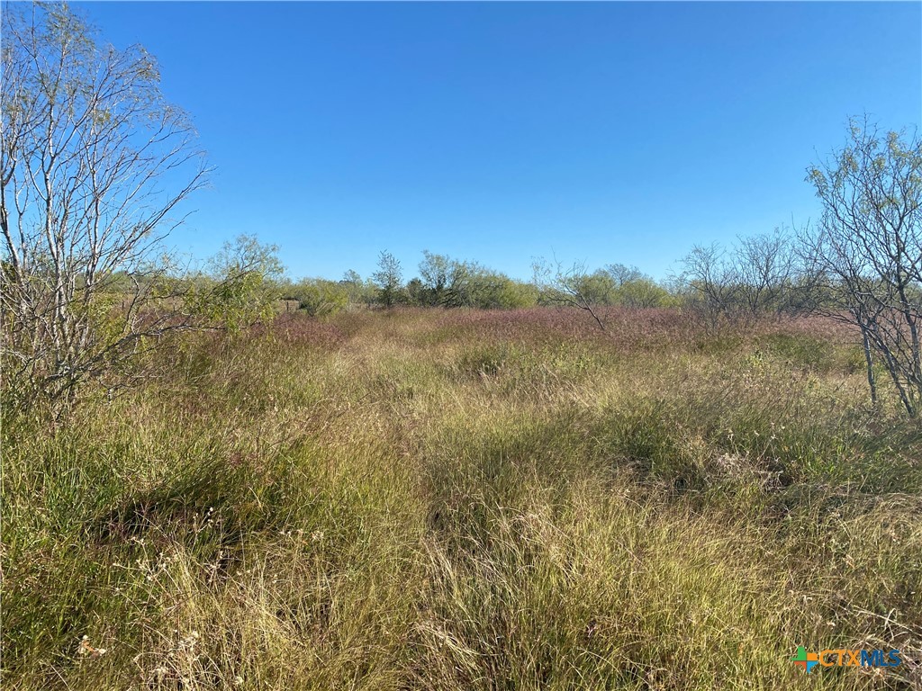 000 County Rd 407