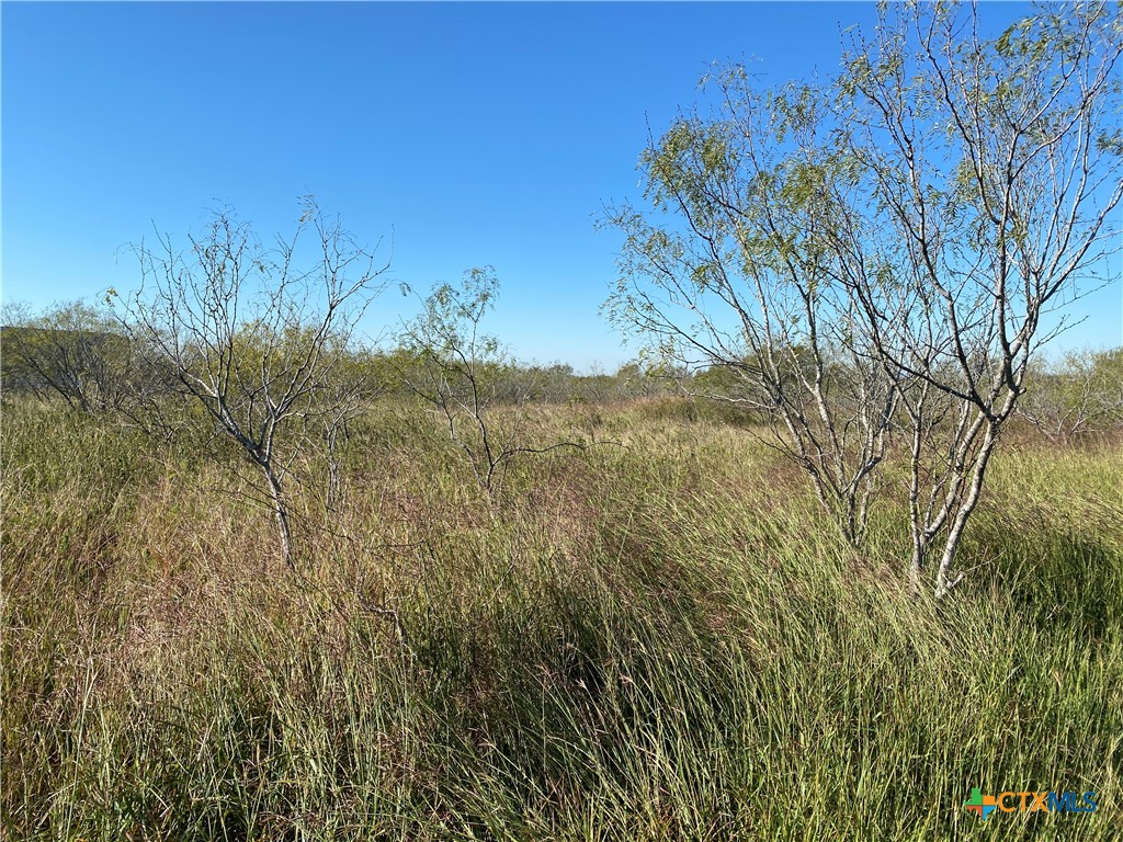 000 County Rd 407