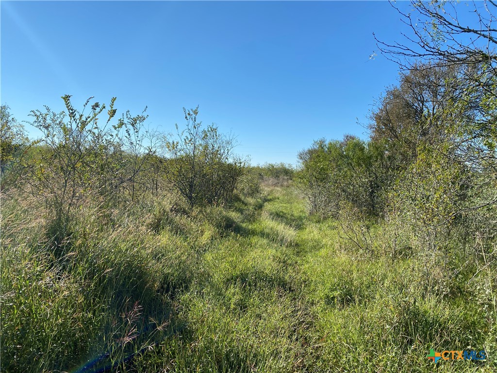 000 County Rd 407