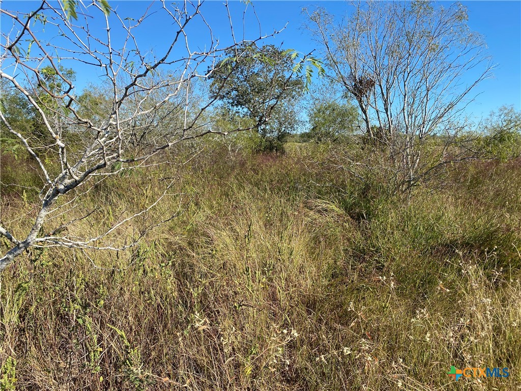 000 County Rd 407