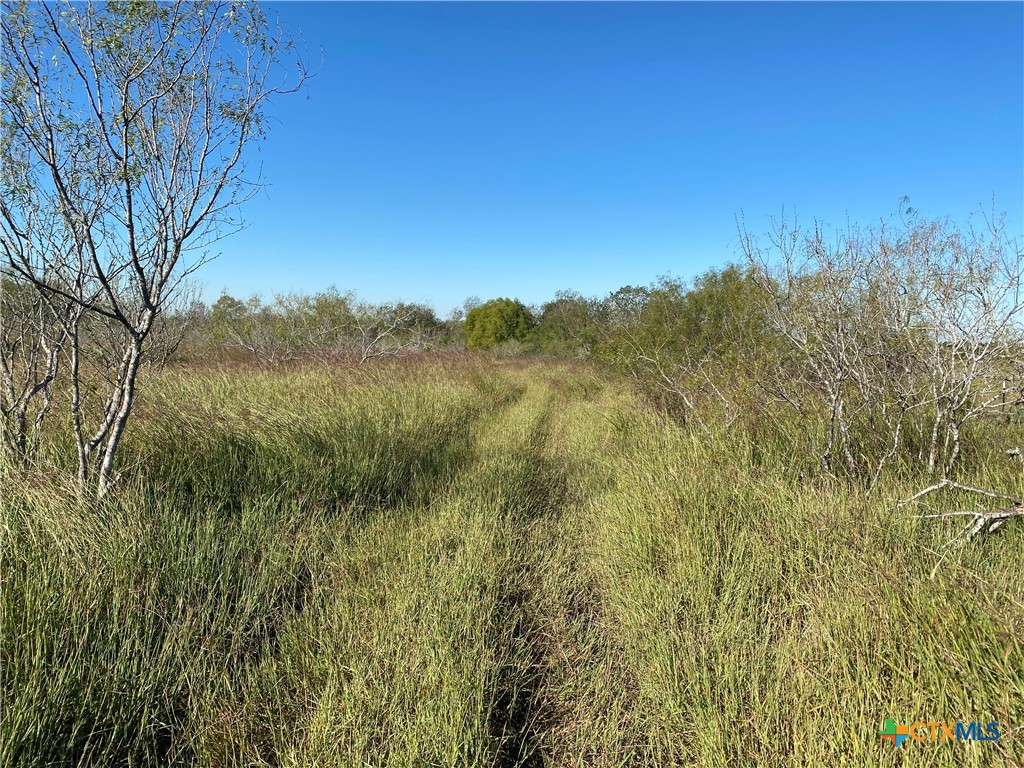 000 County Rd 407
