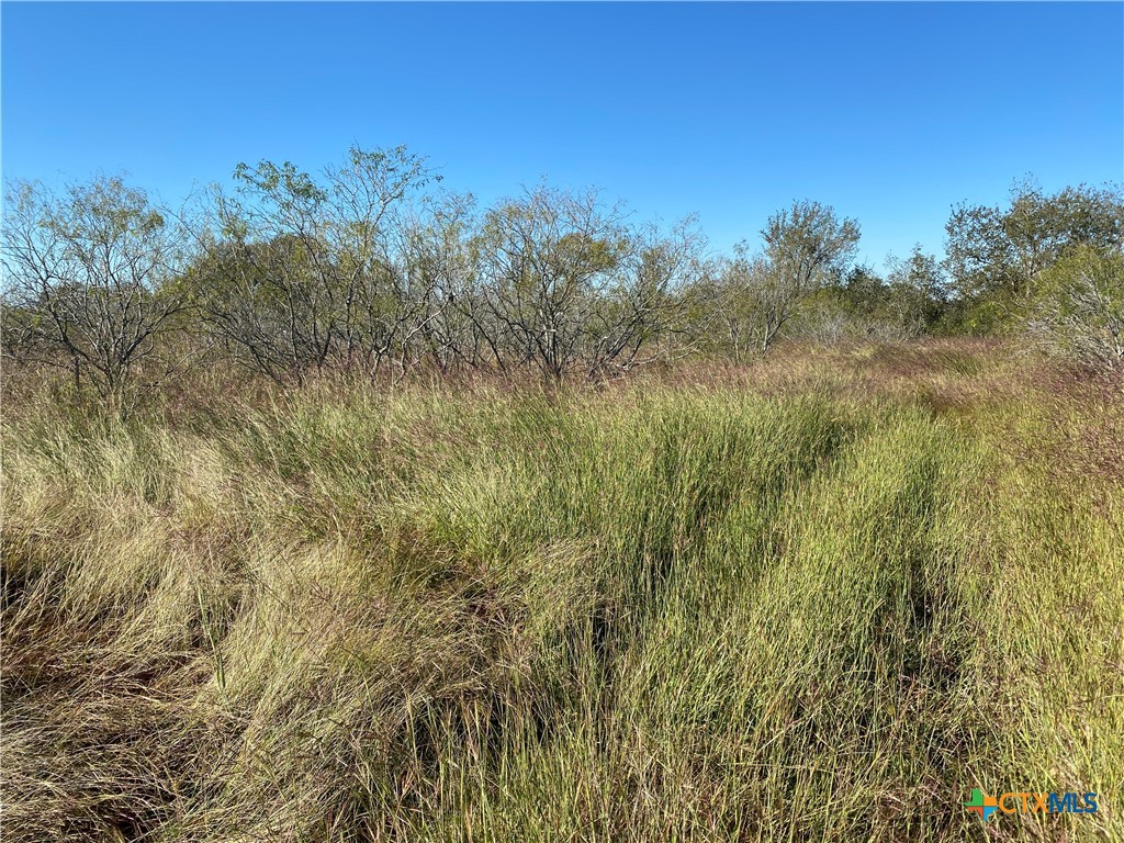 000 County Rd 407