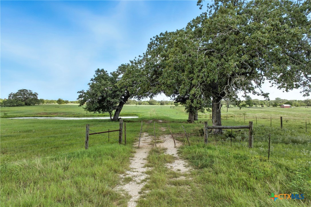 464 County Road 389