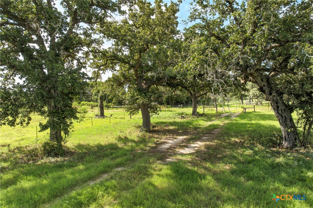 464 County Road 389