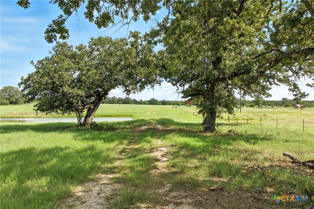 464 County Road 389