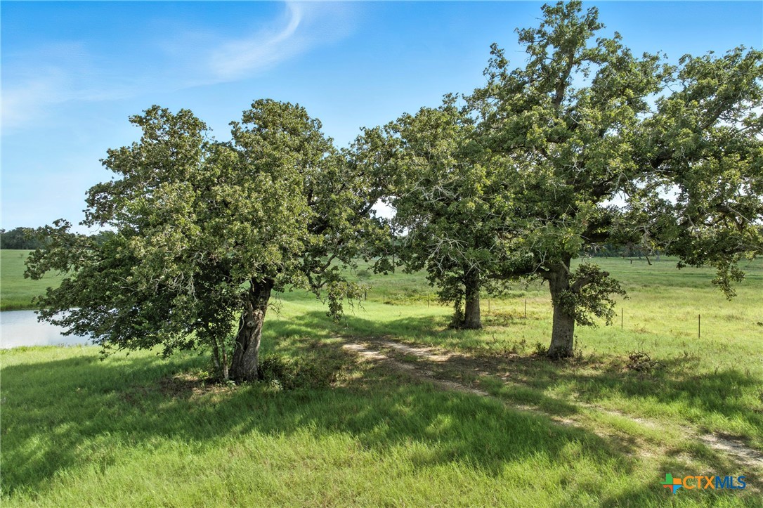 464 County Road 389