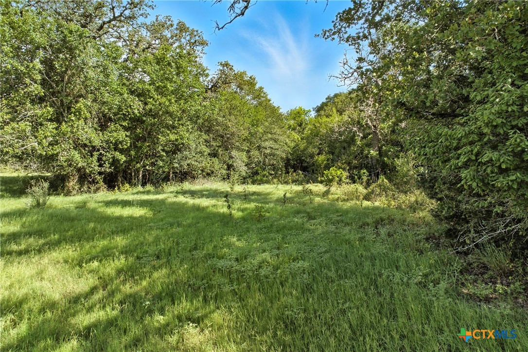 464 County Road 389
