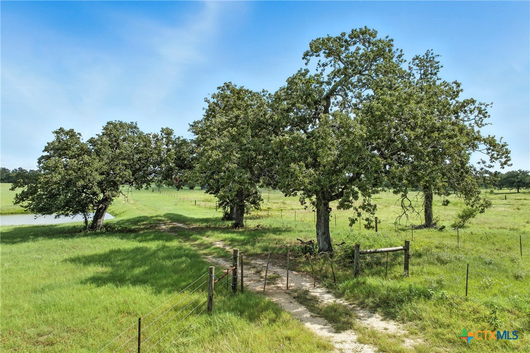464 County Road 389