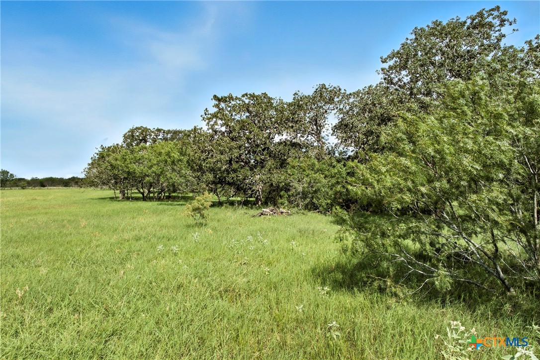 464 County Road 389