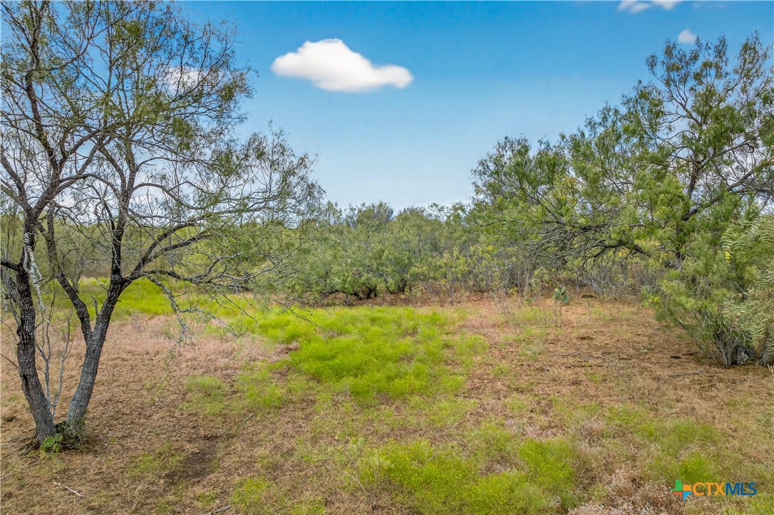 1152 County Road 447