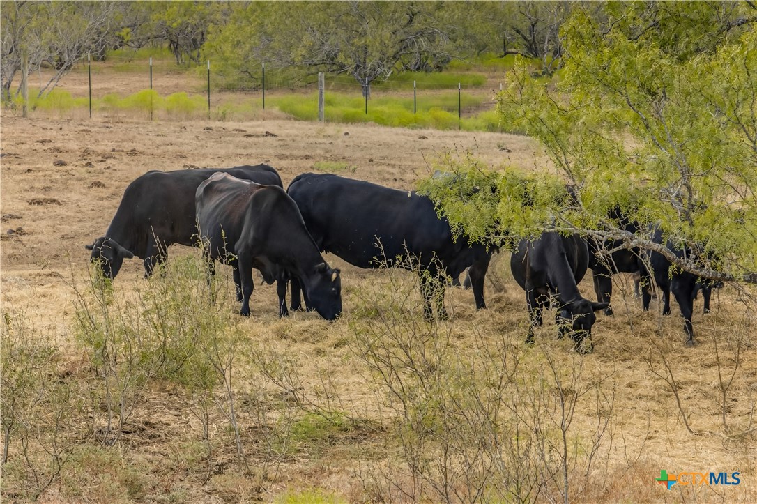 1152 County Road 447