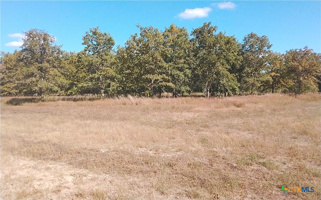 2565 Five Mile & Hwy 95 Road