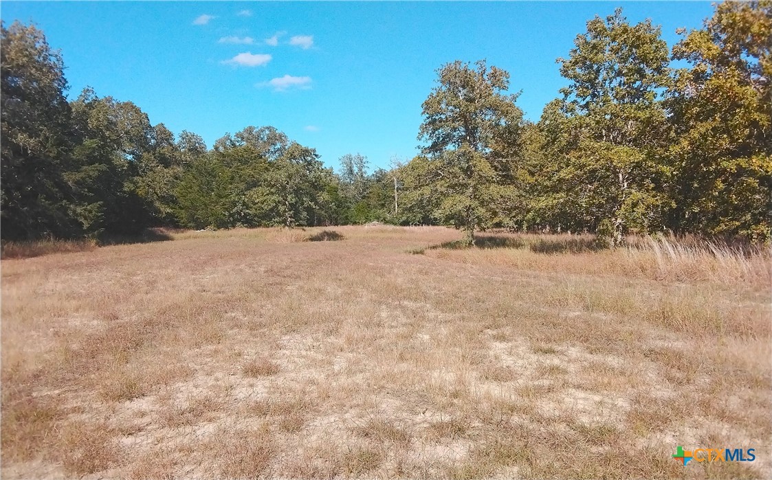 2565 Five Mile & Hwy 95 Road