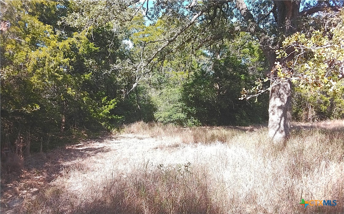 2565 Five Mile & Hwy 95 Road