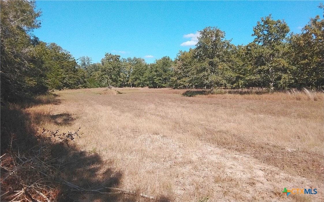 2565 Five Mile & Hwy 95 Road