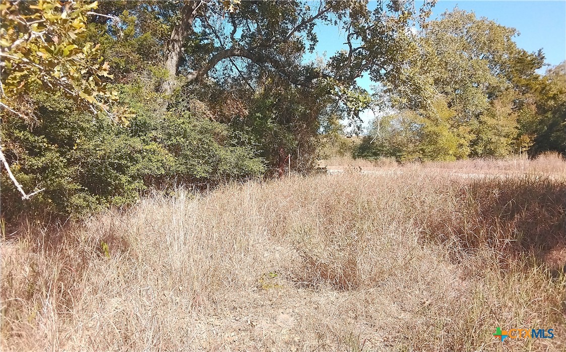 2565 Five Mile & Hwy 95 Road