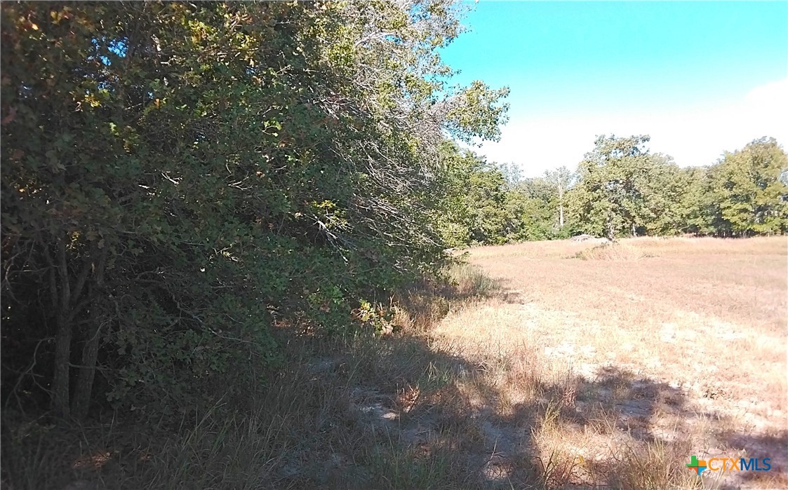 2565 Five Mile & Hwy 95 Road