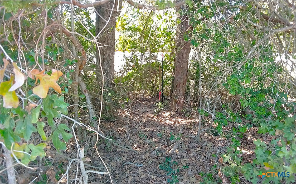 2565 Five Mile & Hwy 95 Road