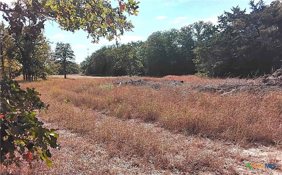 2565 Five Mile & Hwy 95 Road