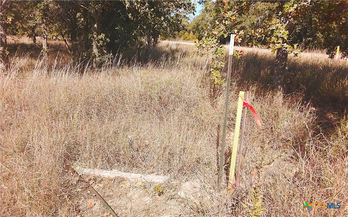 2565 Five Mile & Hwy 95 Road