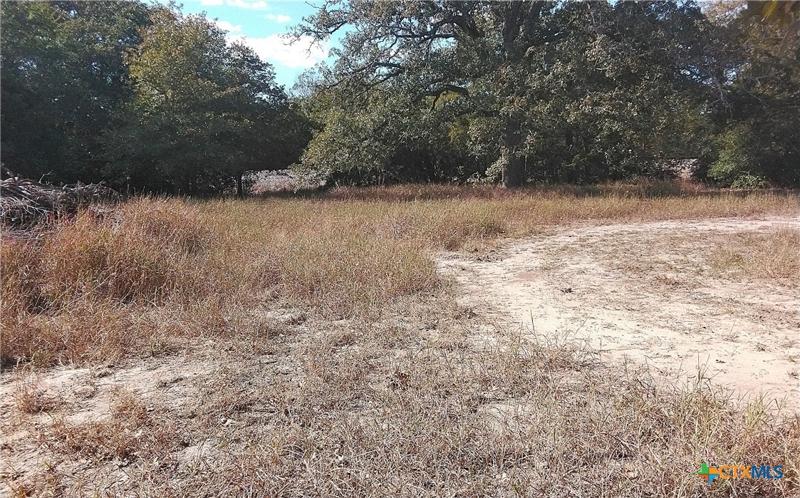 2565 Five Mile & Hwy 95 Road