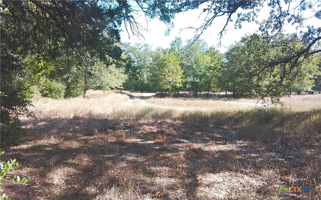 2565 Five Mile & Hwy 95 Road