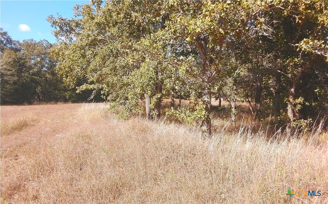 2565 Five Mile & Hwy 95 Road