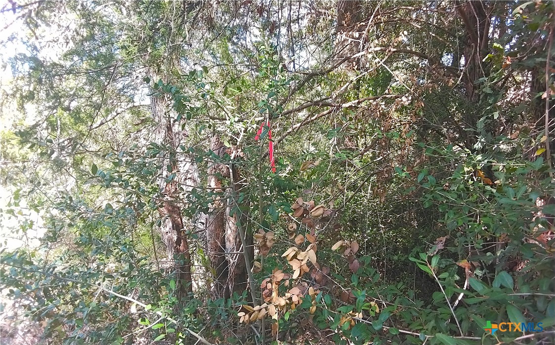 2565 Five Mile & Hwy 95 Road