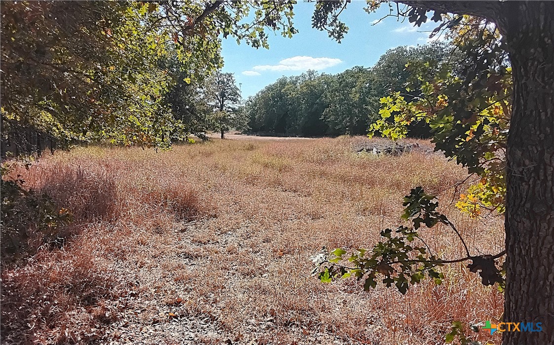 2565 Five Mile & Hwy 95 Road