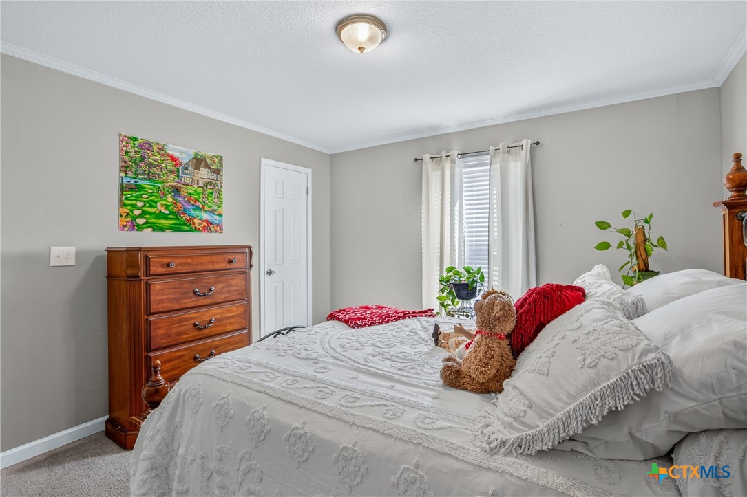 2041 County Road 240